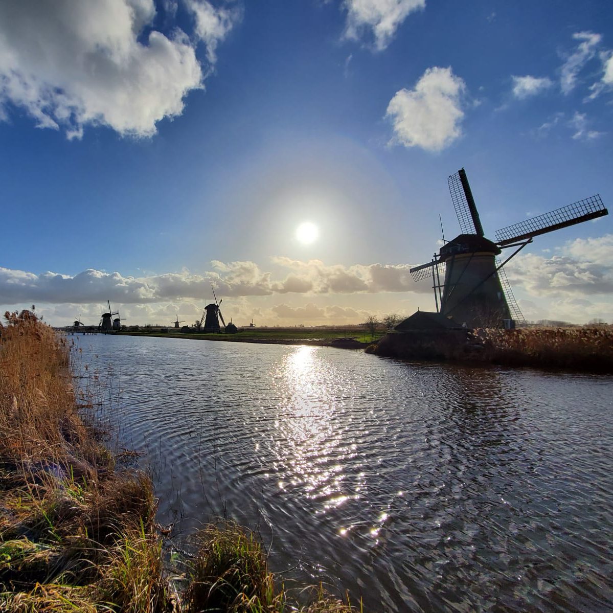 Dutch People Are the Coldest M-F**Kers, and 10 Other Things I Hate About the Netherlands